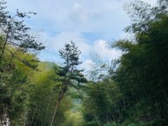 -布袋山风景区