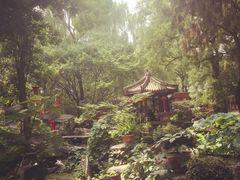-白家大院·王府宫廷菜(苏州街店)