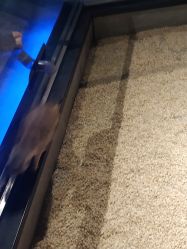 -未来动物城动物主题公园(大悦城店)