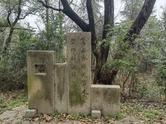 -石峰公园