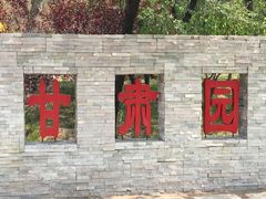 -武清南湖绿博园