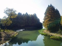 -贡湖湾湿地公园