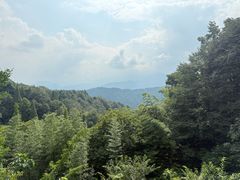 -贡椒鱼老店·雅安十大名店