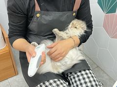 -瑞鹏宠物医院犬猫全科(真大分院)