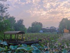 -茯茶镇