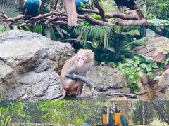 -广州长隆野生动物世界