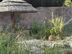 -宁波野生动物园