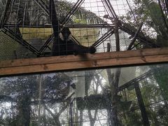 -海南热带野生动植物园