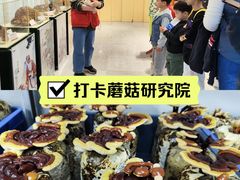 -明治雪糕（广州）有限公司