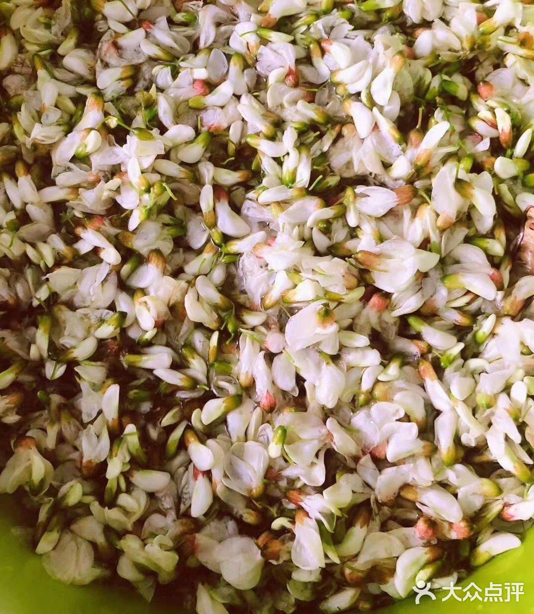 童年的芬芳[糖果]槐花香[调皮]一年只有这几天[双手合十]珍惜好时光