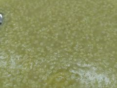 小米粥-慕民美食家