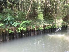 -同里国家湿地公园