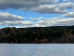 -五营红松林海景区