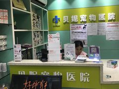 -贝妮宠物医院