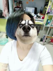 -逸丝风尚