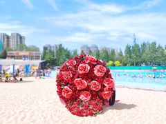 -欢乐水魔方水世界