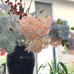 -太湖雪蚕桑文化园