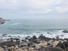 -广东惠东海龟国家级自然保护区