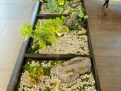 -THE NORTH FACE(三里屯ONEBOX店)