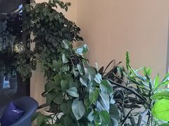 -瑞尔齿科(颐堤港诊所)