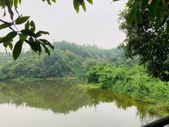 -火炉山森林公园