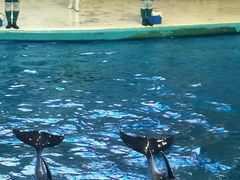 -福州罗源湾海洋世界旅游区