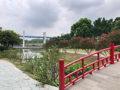 -东莞植物园