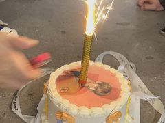 -蜜肆动物奶油蛋糕·个性定制·下午茶甜品