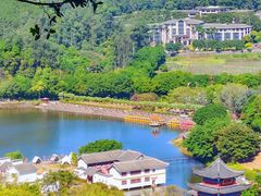 -南国桃园旅游度假区