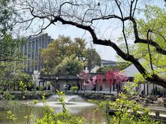 -上海醉白池公园