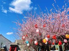 -三里河公园