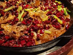 -老板恋上鱼(恒隆广场店)