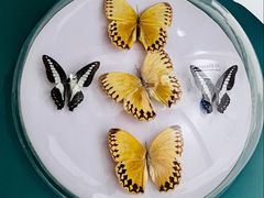 -房山世界地质公园博物馆