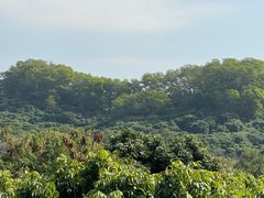 -立新湖公园