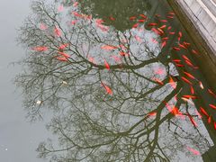 -香山公园