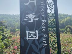 -龙寺生态园
