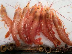 基尾虾-芭菲盛宴·环球美食(解放碑英利国际店)