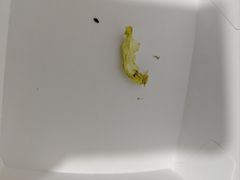 -塔斯汀中国汉堡(西湖景顺铂悦城店)