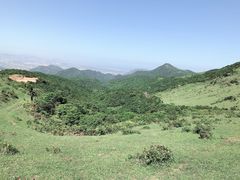 -大姆山草场