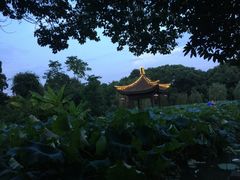 -丝绸小镇荻港古村