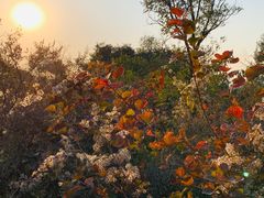 -鬼笑石后山停车场