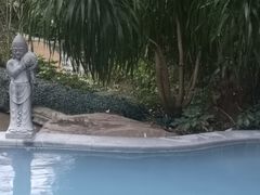 -汇雅温泉