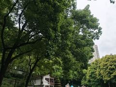 -忠山公园