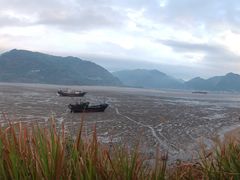 -北岐滩涂