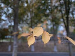 -春晖园度假酒店温泉