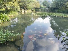 -中国茶叶博物馆(双峰馆区)