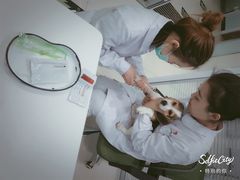 -悦宠凯宝动物医院·牙科·皮肤科(朝阳北路店)