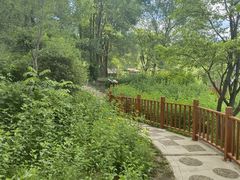 -玉渡山自然风景区