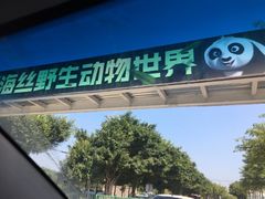 -泉州海丝野生动物世界