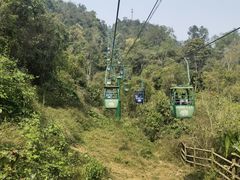 -野象谷景区